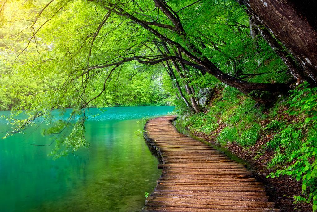 Guest House Plitvice Villa Verde Плитвицкие озёра Экстерьер фото